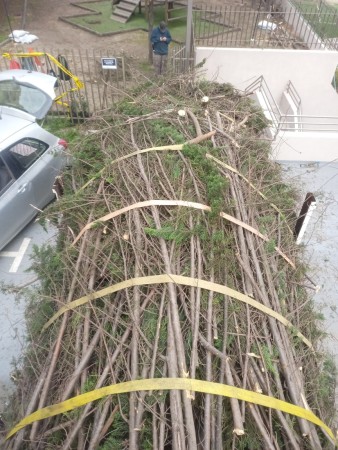 Imagen 2