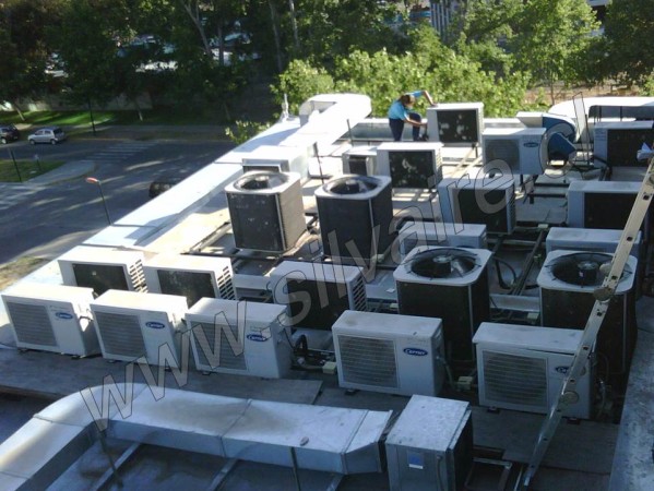 Imagen 5 de servicio