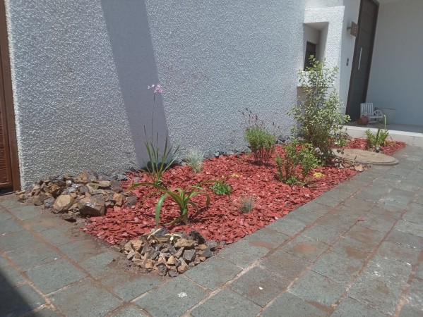 Imagen principal del servicio