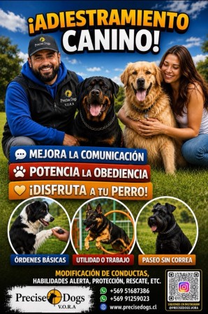Imagen 0