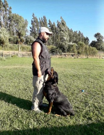Imagen 2