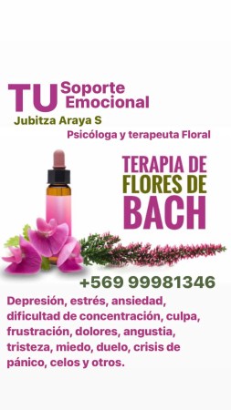 Imagen 2