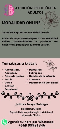 Imagen 10 de servicio