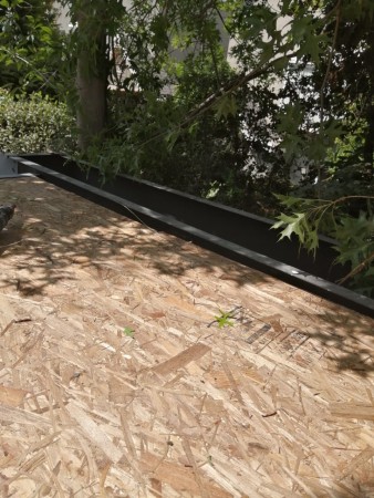 Imagen 73 de servicio