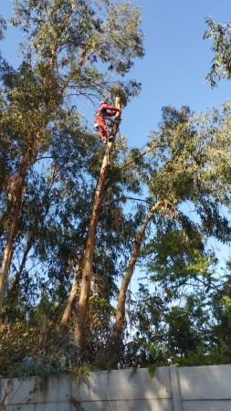 Imagen 2
