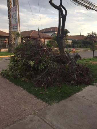 Imagen 4 de servicio