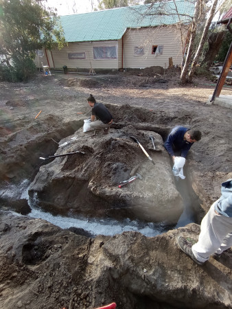 Imagen 31 de servicio