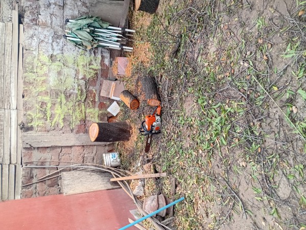 Imagen 6 de servicio