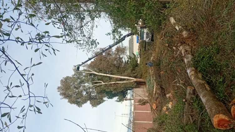 Imagen 12 de servicio