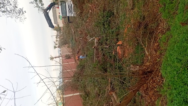 Imagen 14 de servicio