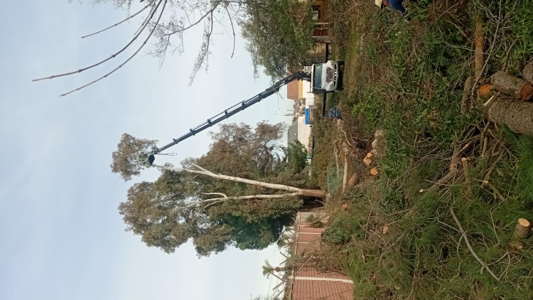 Imagen 15 de servicio