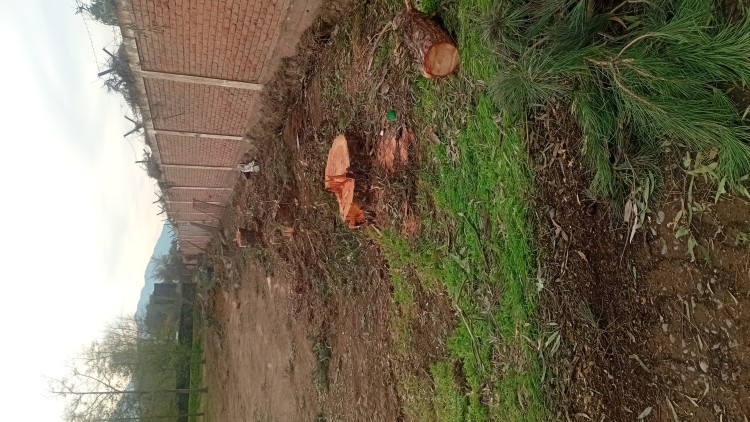 Imagen 13 de servicio