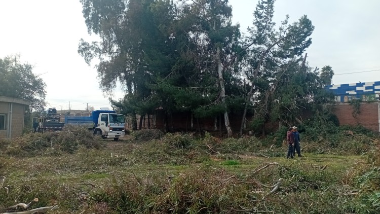 Imagen 16 de servicio