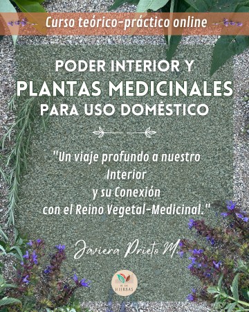 Imagen 6 de servicio