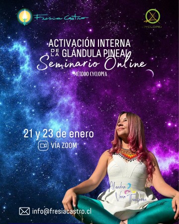Imagen 8 de servicio