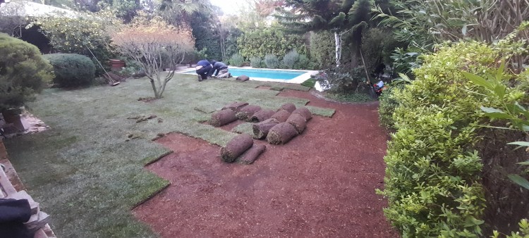 Imagen 19 de servicio
