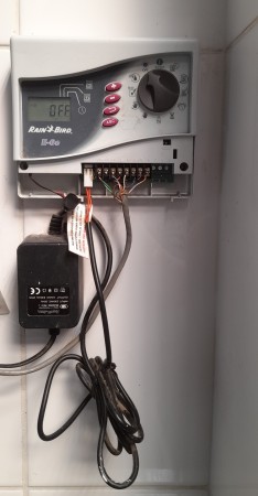 Imagen 21 de servicio