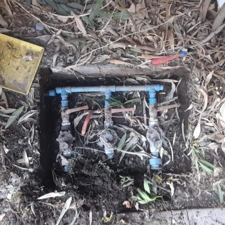 Imagen 36 de servicio