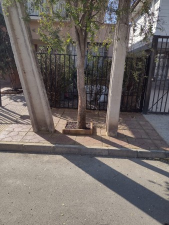 Imagen 46 de servicio