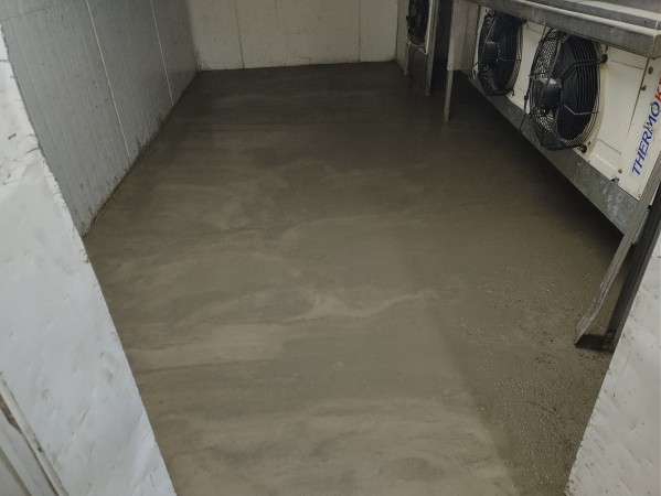 Imagen 89 de servicio