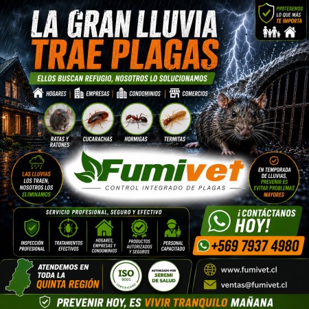 Imagen 3 de servicio