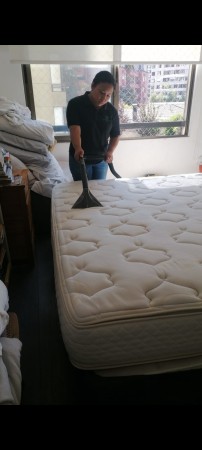 Imagen 5 de servicio