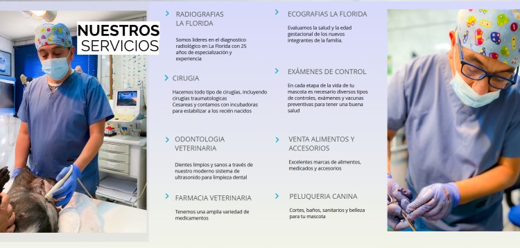 Imagen 0