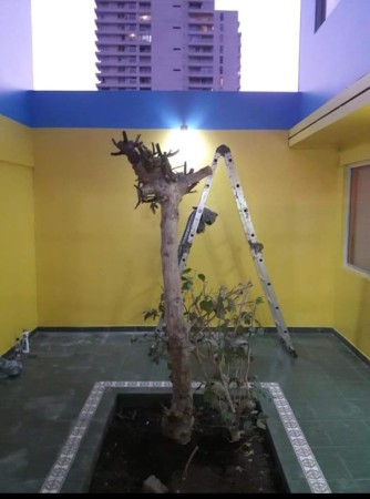 Imagen 11 de servicio