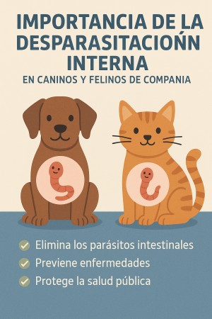 Imagen 4 de servicio
