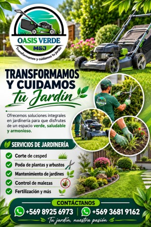 Imagen 0