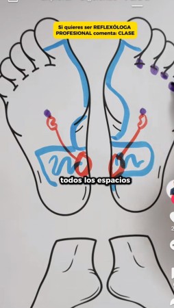 Imagen 48 de servicio