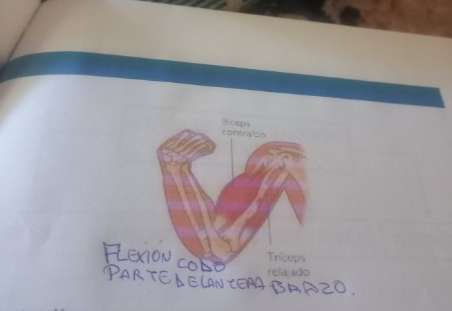 Imagen 66 de servicio