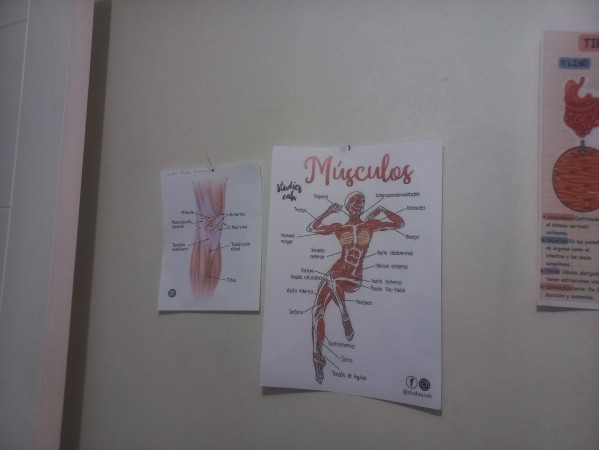 Imagen 77 de servicio