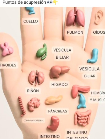 Imagen 85 de servicio