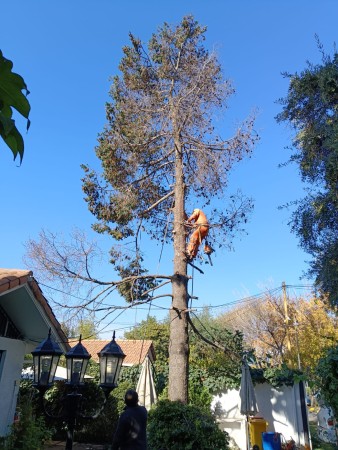 Imagen 2