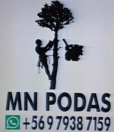 Imagen 3 de servicio
