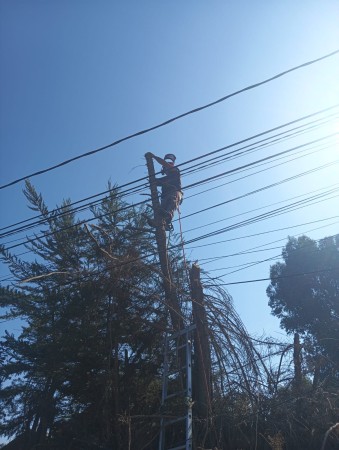 Imagen 4 de servicio