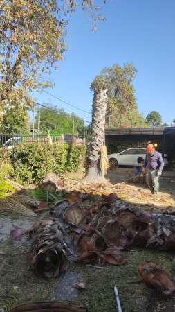 Imagen 9 de servicio
