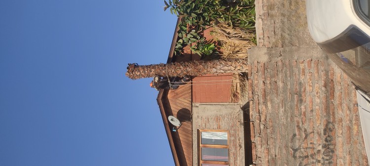 Imagen 10 de servicio