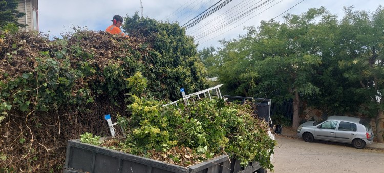Imagen 7 de servicio