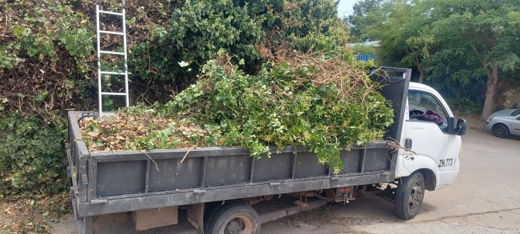 Imagen 6 de servicio