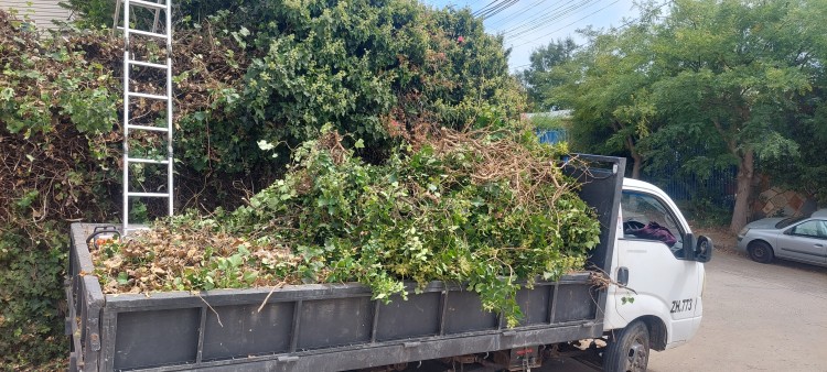 Imagen 8 de servicio