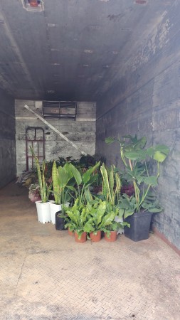 Imagen 17 de servicio