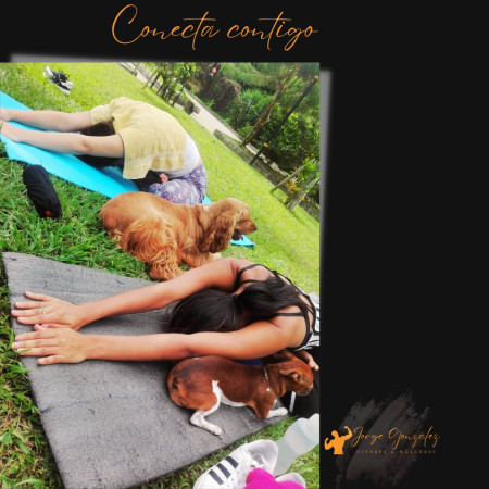 Imagen 4 de servicio