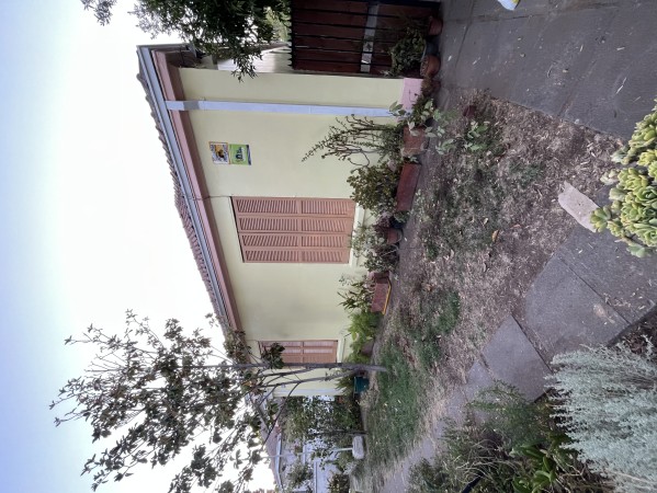 Imagen 4 de servicio