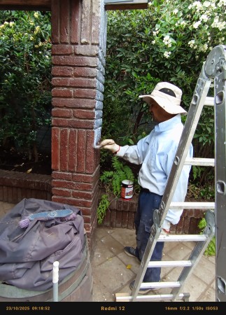 Imagen 1