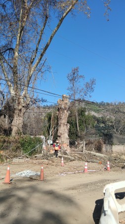 Imagen 4 de servicio