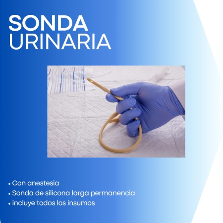 Imagen principal del servicio