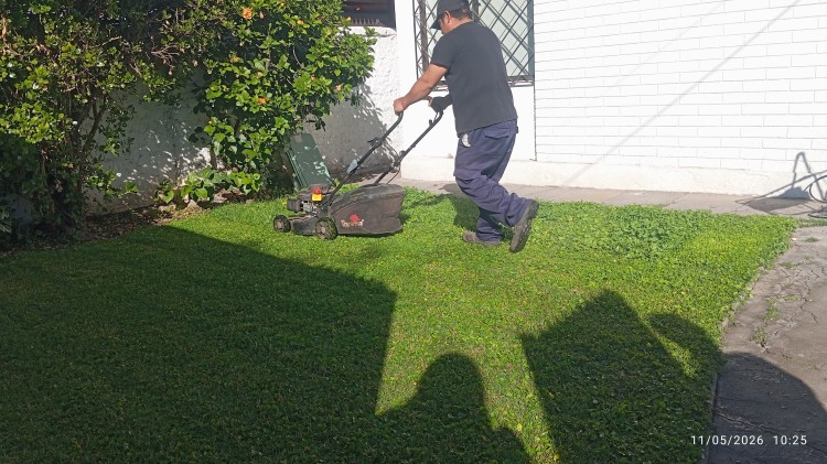 Imagen 10 de servicio