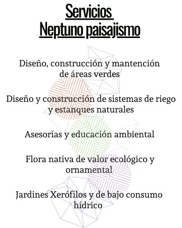 Imagen 0
